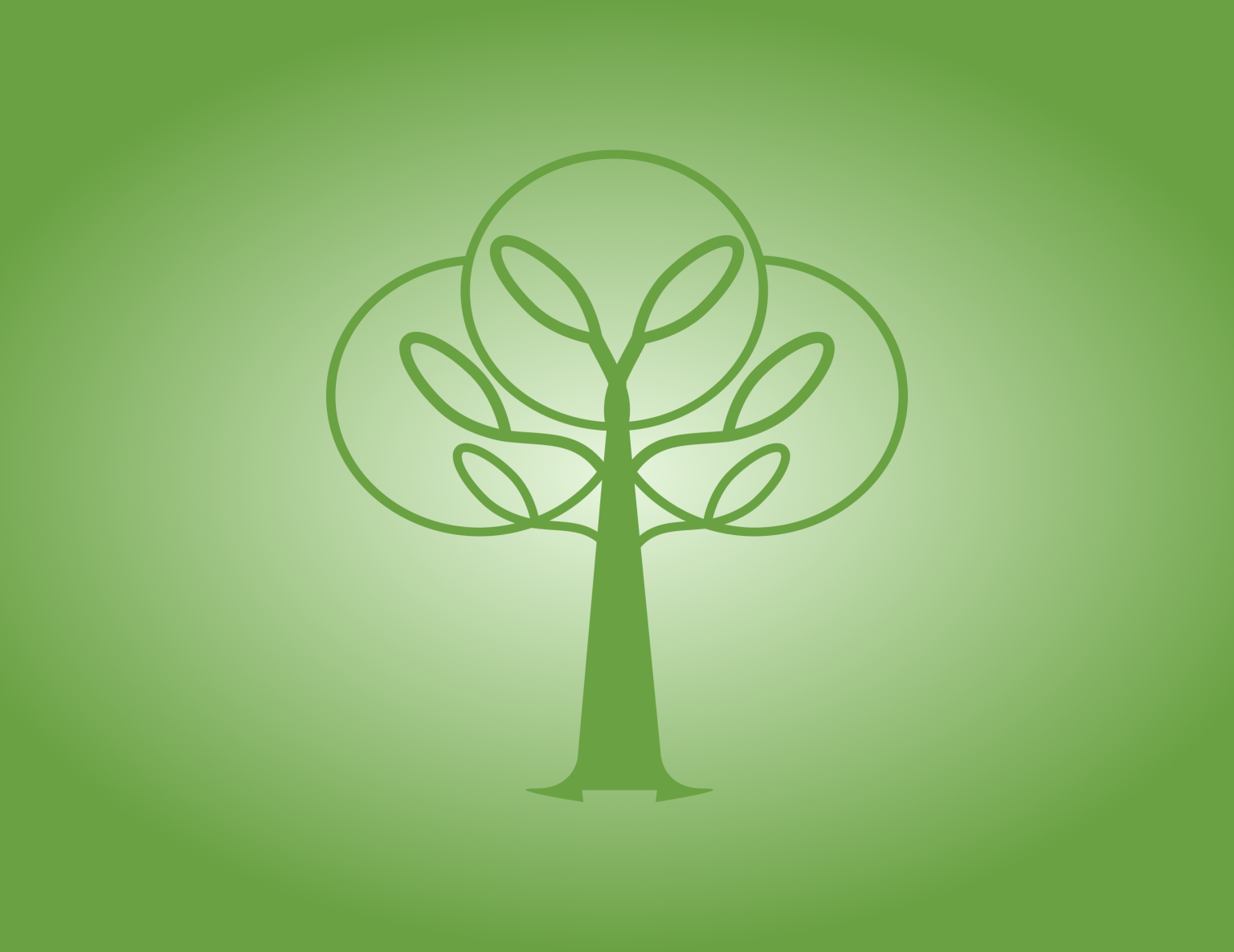 BioBalance case study preview