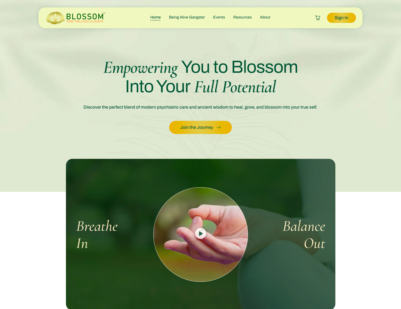 Blossom Mind Wellness project overview