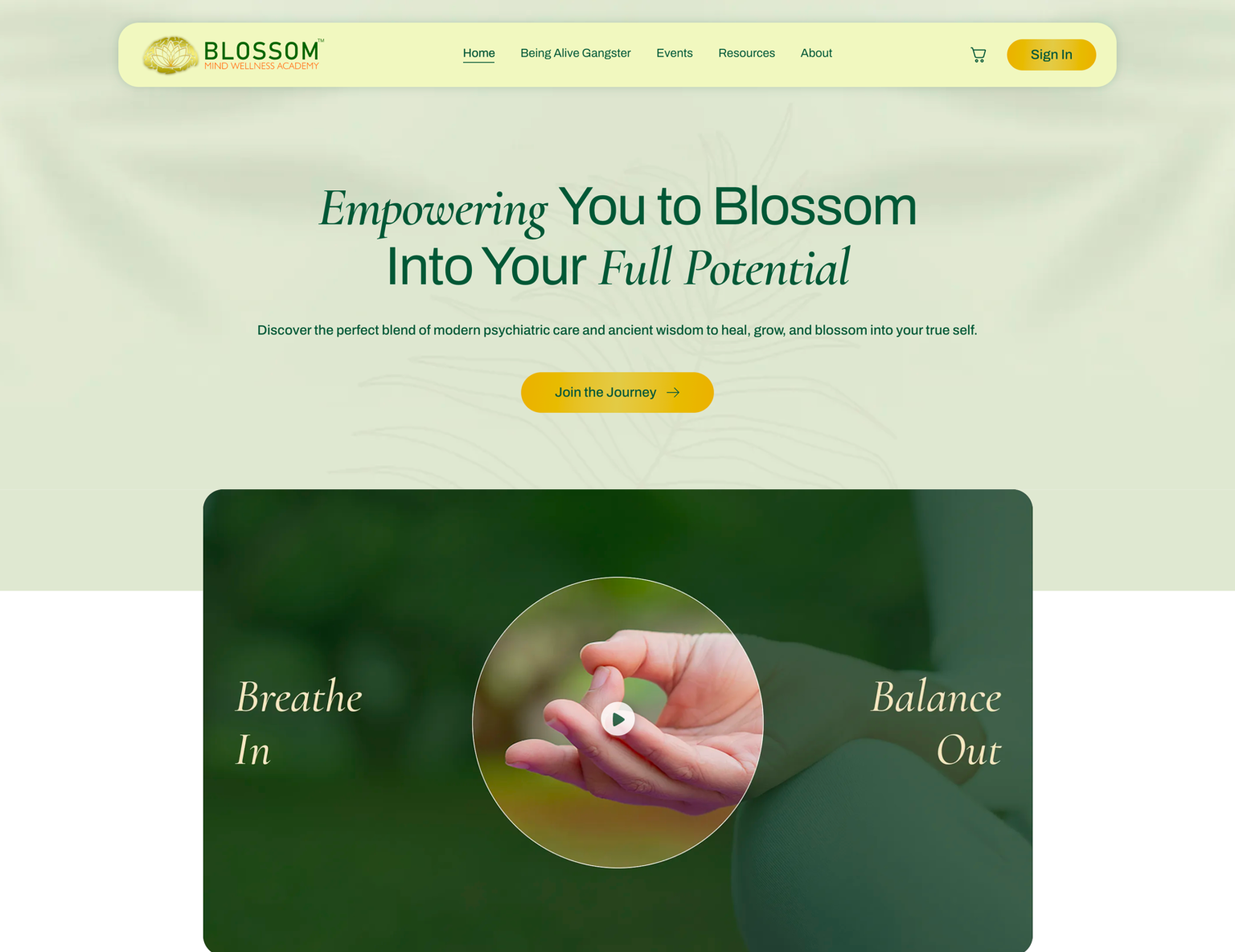 Blossom Mind Wellness project preview