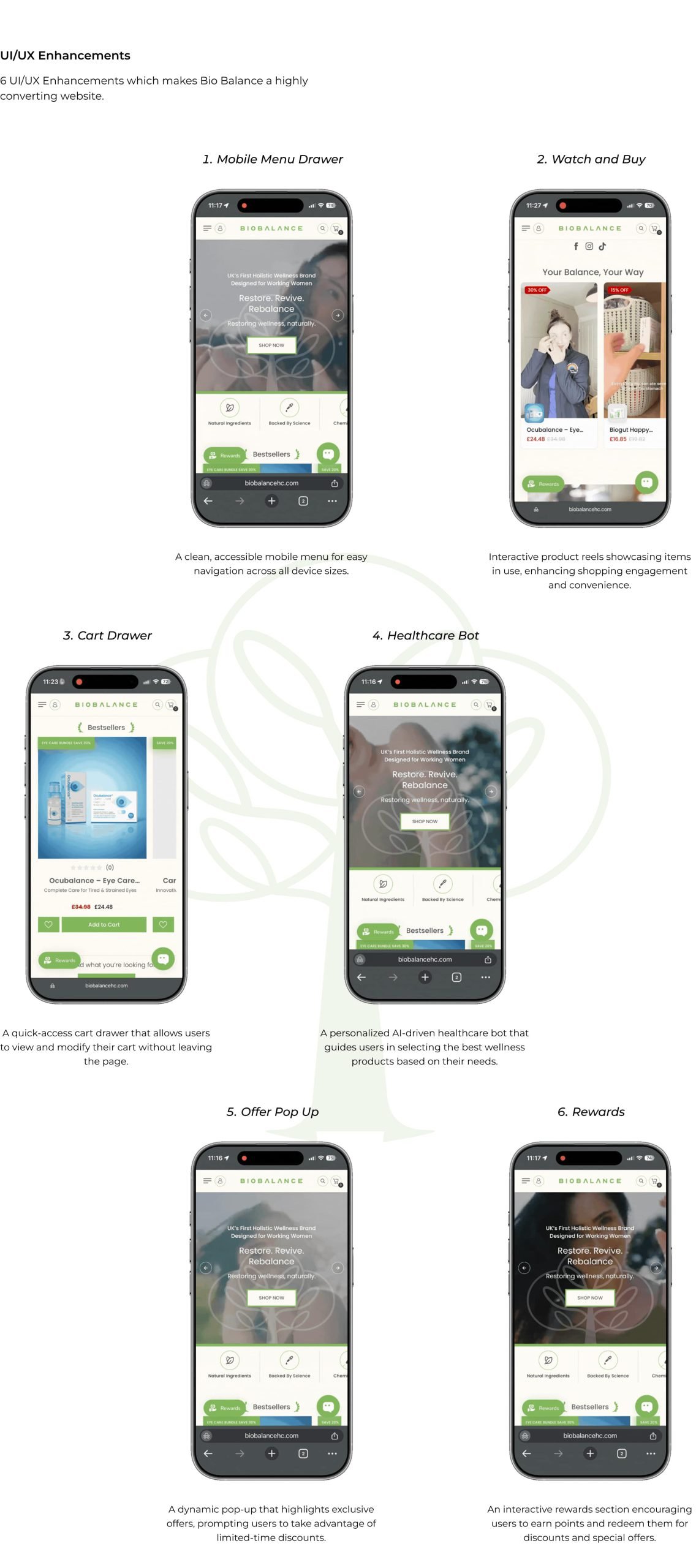 BioBalance design presentation, frame 17