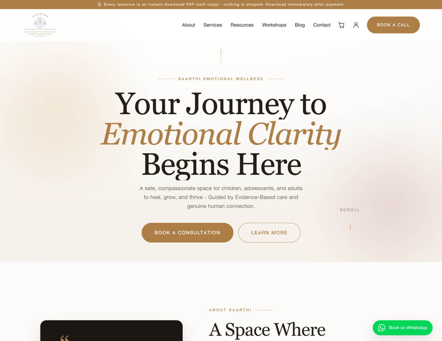 Saarthi Emotional Wellness project preview